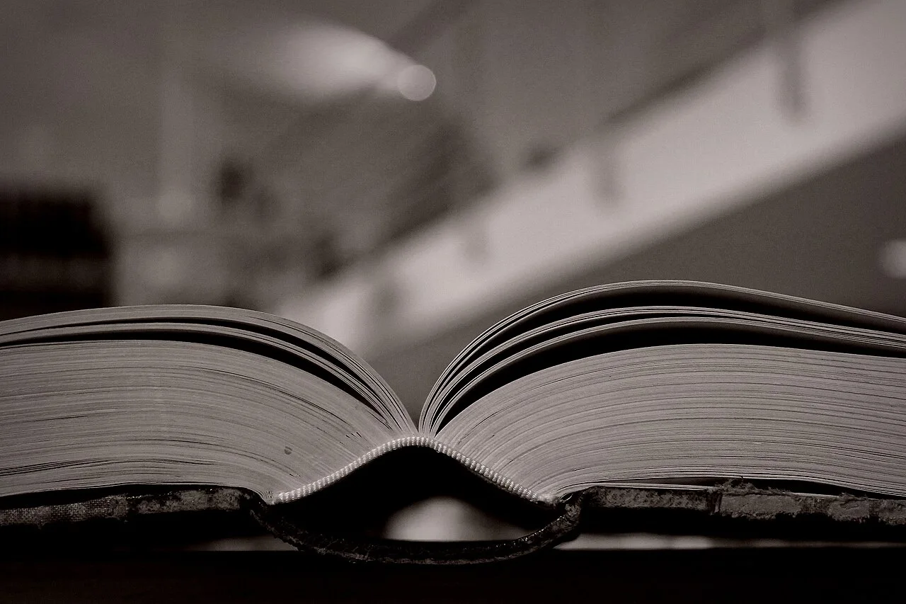 A close view of the pages of an open book